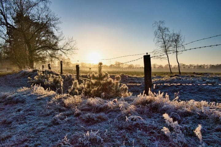 Winter Solstice